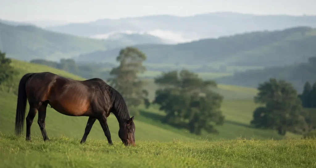 brown horse grazing peacefully in green field dream meaning